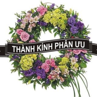 CSVSQ Đặng Dân An K25