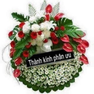 CSVSQ Nguyễn Văn Long K17