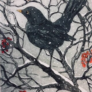 BỤI TUYẾT (Robert Frost)
