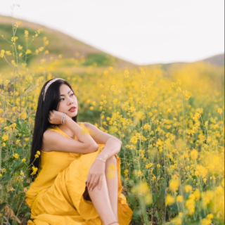 ĐỒI CỎ HOA VÀNG