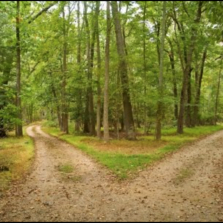 NGẢ ĐƯỜNG KHÔNG CHỌN (Robert Frost)
