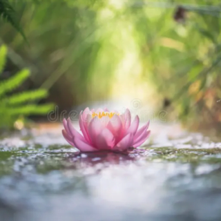SỰ THẬT BỊ CHE GIẤU (Rabindranath Tagore)
