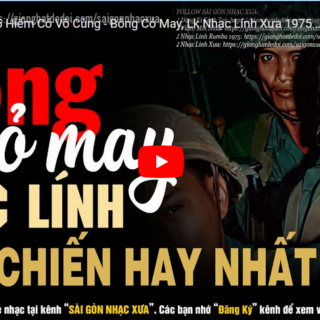 Bông cỏ may