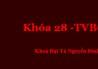 Tiểu sử Khóa 28 TVBQGVN