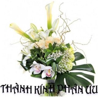 CSVSQ Trần Trung Hiếu K23